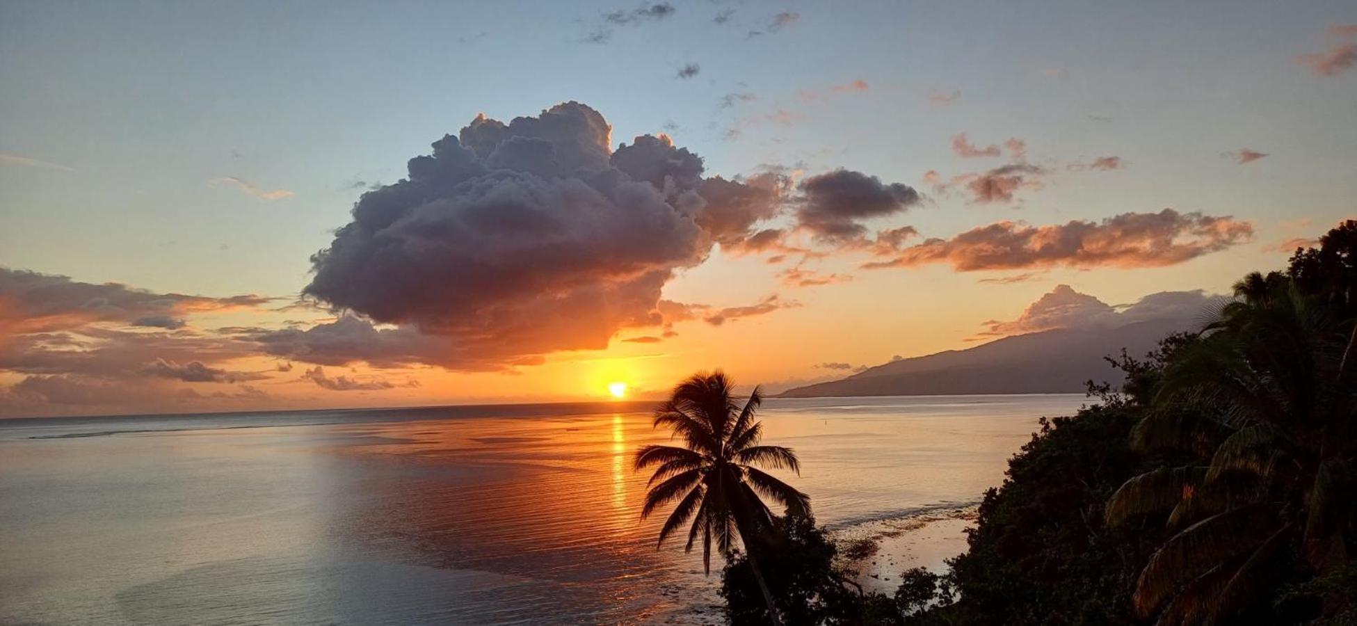 Maui Homestay Vue Ocean Exceptionnelle & Baleines En Saison Tohautu Exterior photo